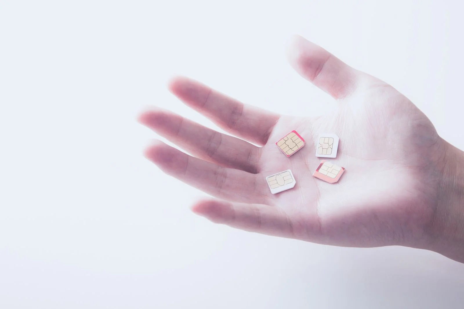 スマートフォンとタブレットの利用シーン